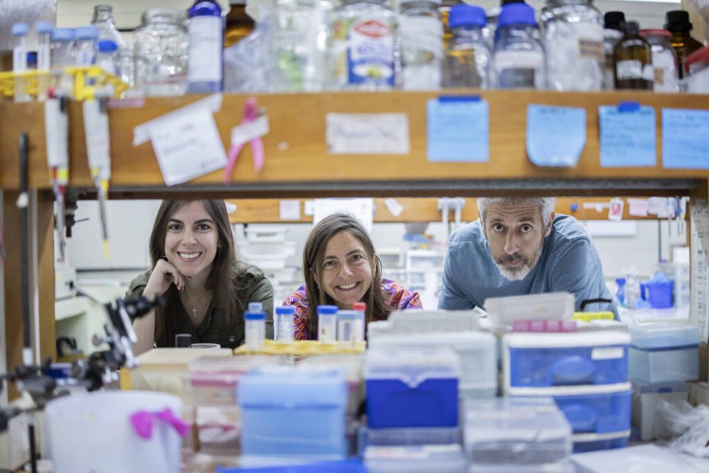 Estudo identifica 21% de reprodutibilidade em biomédica - 09/04/2025 - Ciência